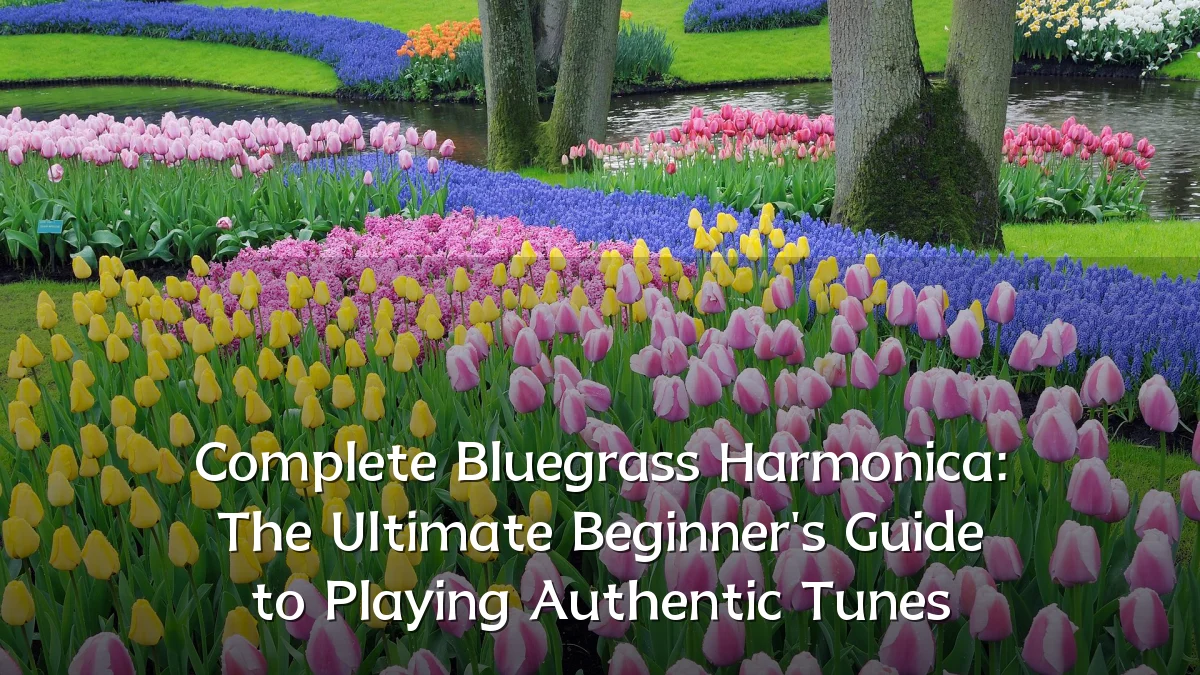 Complete Bluegrass Harmonica: The Ultimate Beginner's Guide to Playing Authentic Tunes
