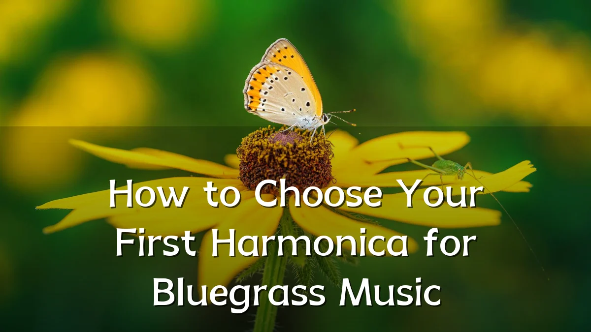 How to Choose Your First Harmonica for Bluegrass Music